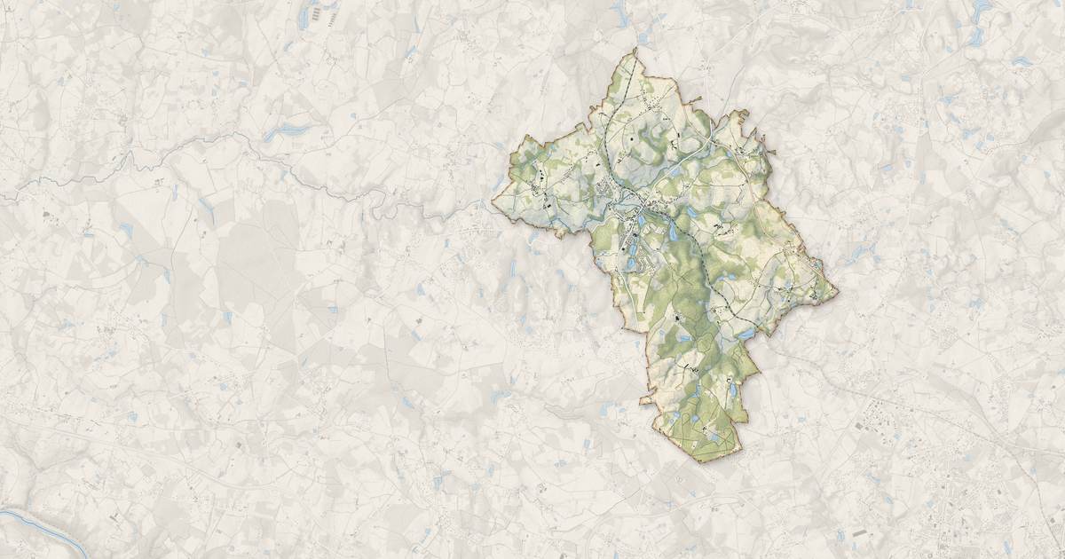 Portrait cartographique de Nieul : relief, eau, forêts, bâti et voies, calculés à partir des données de l'IGN