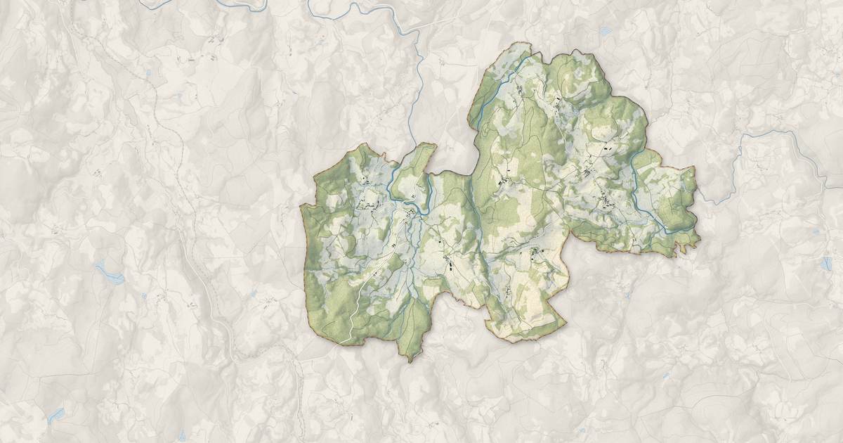 Portrait cartographique de Rempnat : relief, eau, forêts, bâti et voies, calculés à partir des données de l'IGN