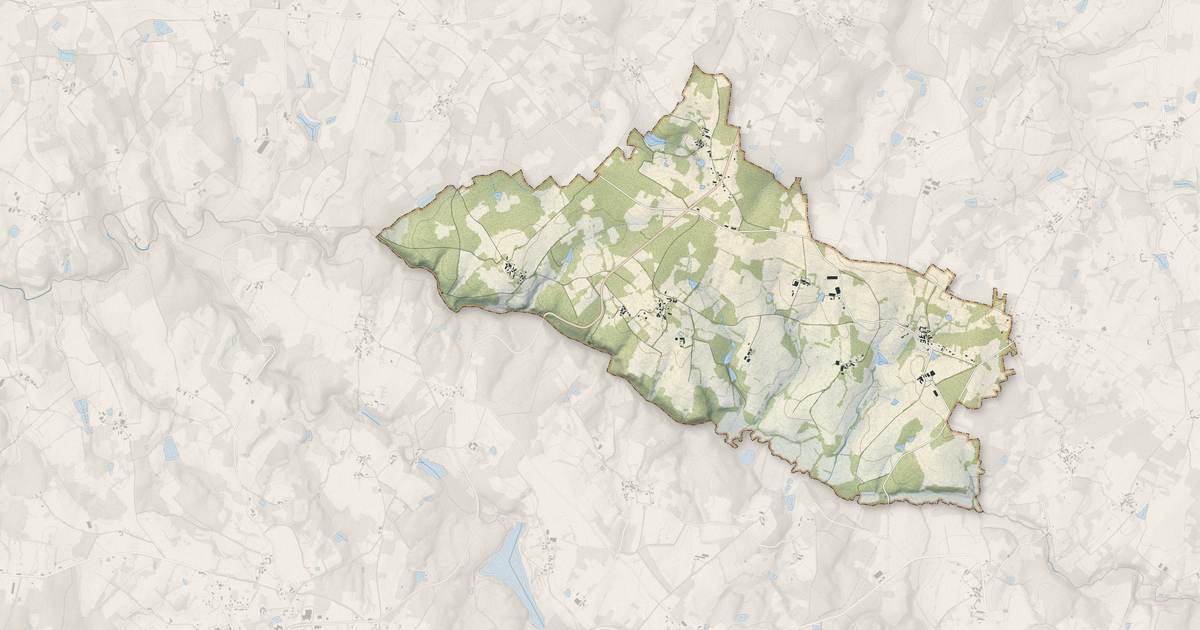 Portrait cartographique de Saint-Bazile : relief, eau, forêts, bâti et voies, calculés à partir des données de l'IGN