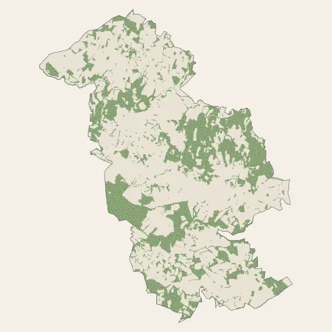 Saint-Gence : bois, forêts et landes