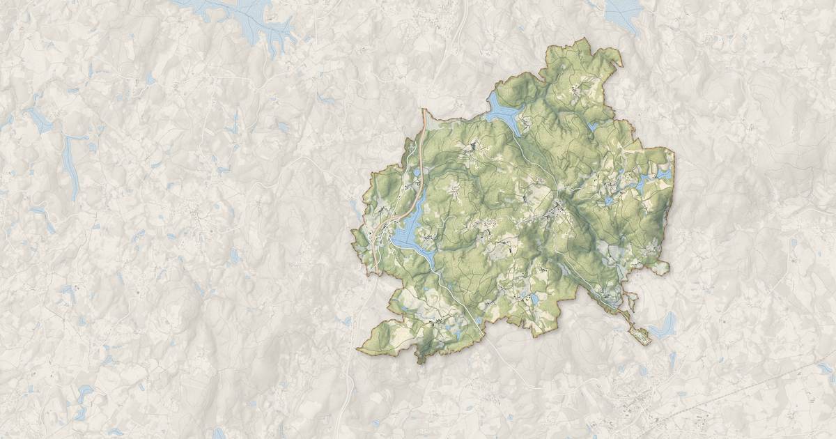 Portrait cartographique de Saint-Sylvestre : relief, eau, forêts, bâti et voies, calculés à partir des données de l'IGN