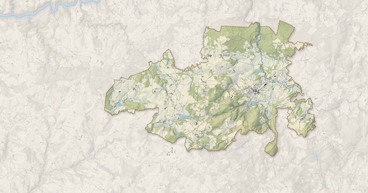 Portrait cartographique de Sauviat-sur-Vige : relief, eau, forêts, bâti et voies, calculés à partir des données de l'IGN