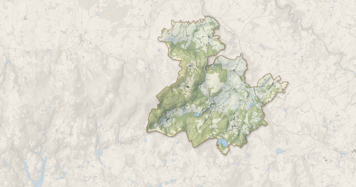 Portrait cartographique de Vaulry : relief, eau, forêts, bâti et voies, calculés à partir des données de l'IGN
