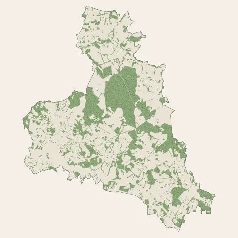 Veyrac : bois, forêts et landes