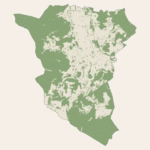 Anould : bois, forêts et landes