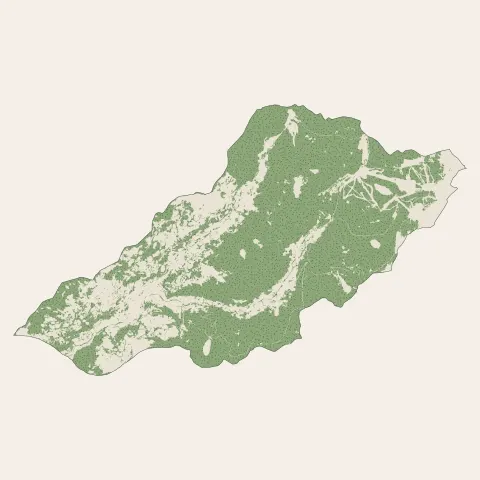 La Bresse : bois, forêts et landes
