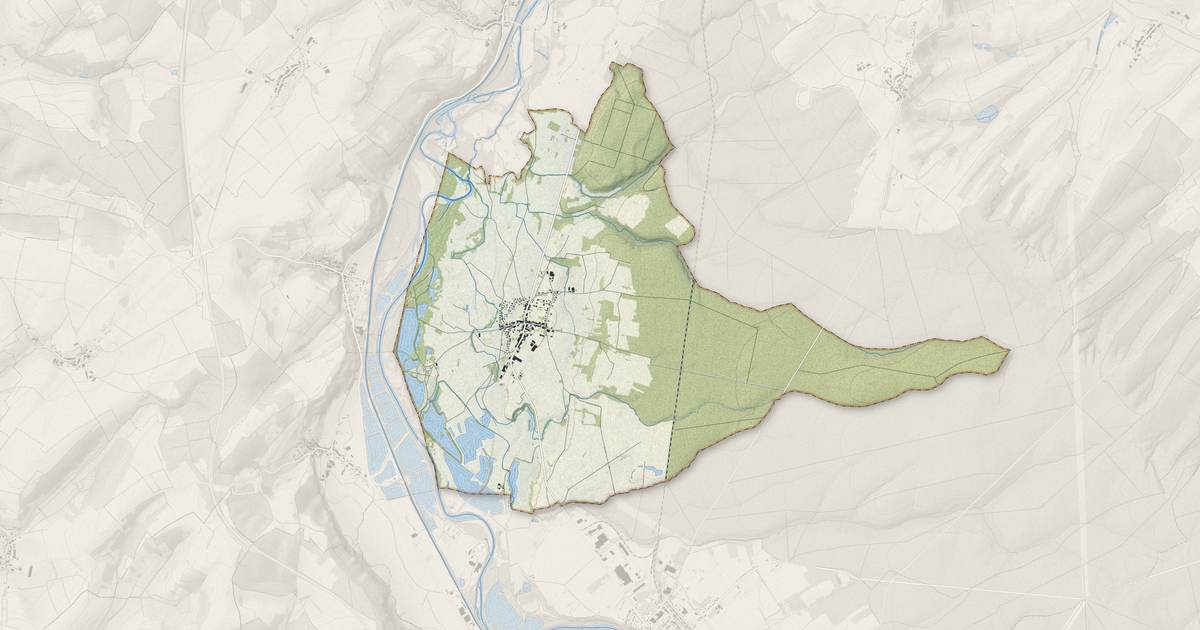 Portrait cartographique de Chamagne : relief, eau, forêts, bâti et voies, calculés à partir des données de l'IGN