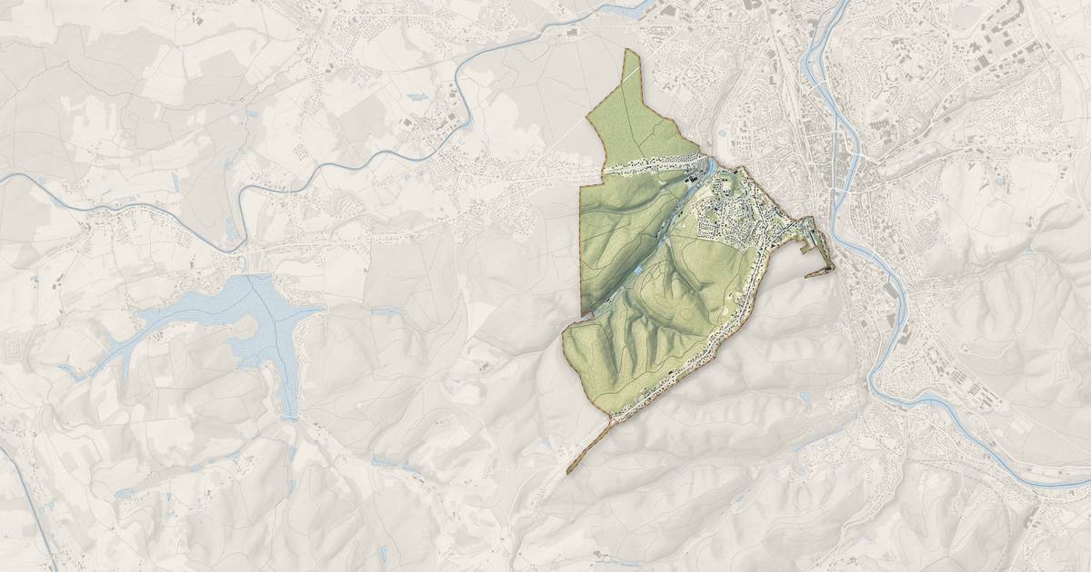 Portrait cartographique de Chantraine : relief, eau, forêts, bâti et voies, calculés à partir des données de l'IGN