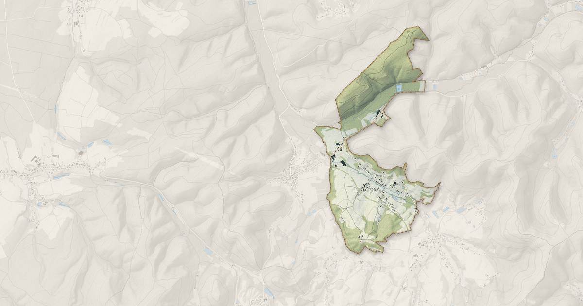 Portrait cartographique de Domfaing : relief, eau, forêts, bâti et voies, calculés à partir des données de l'IGN