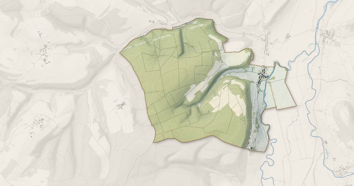 Portrait cartographique de Domrémy-la-Pucelle : relief, eau, forêts, bâti et voies, calculés à partir des données de l'IGN