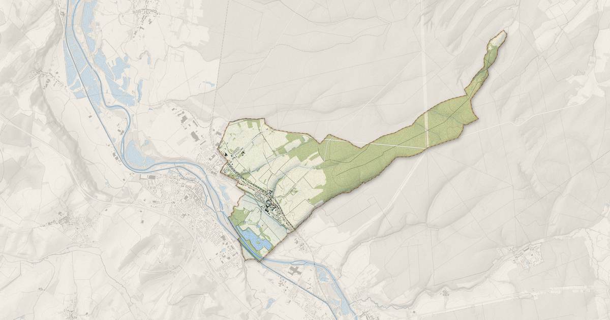 Portrait cartographique de Essegney : relief, eau, forêts, bâti et voies, calculés à partir des données de l'IGN