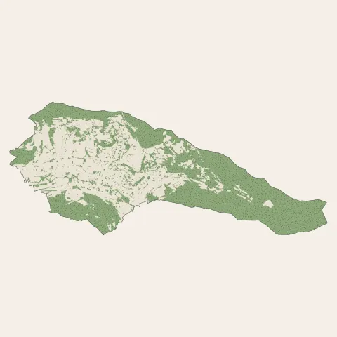Fraize : bois, forêts et landes