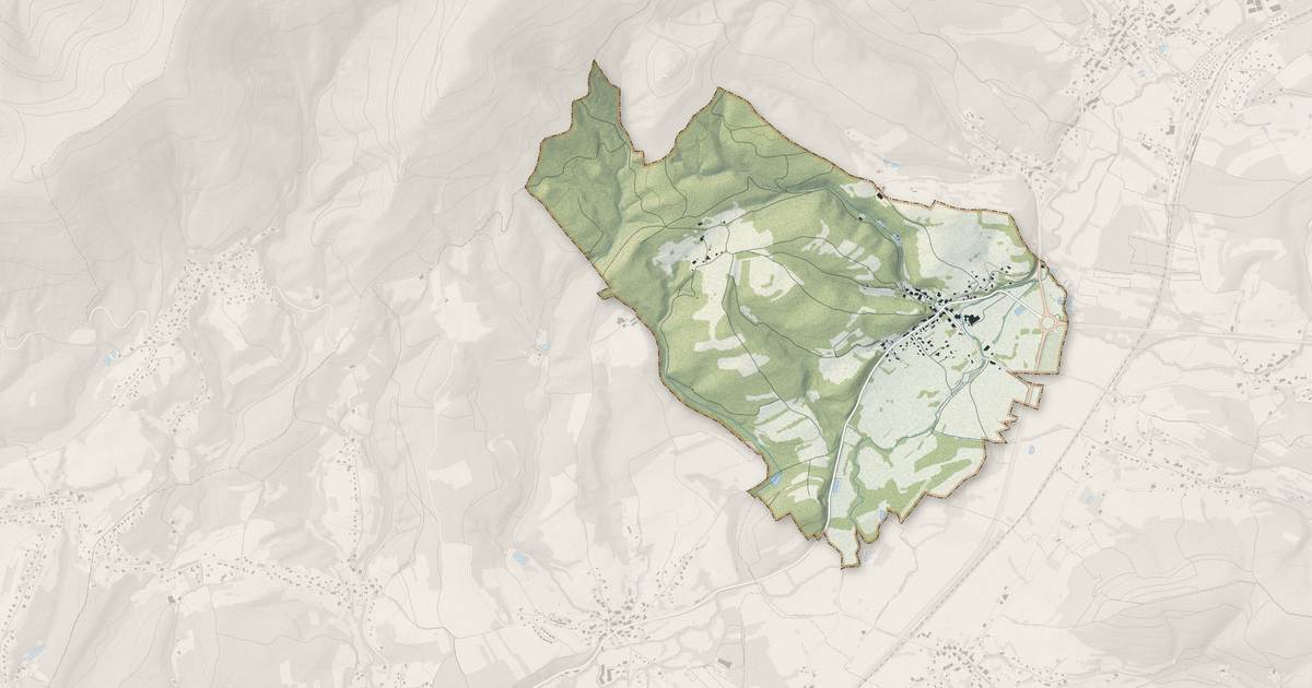 Portrait cartographique de Frapelle : relief, eau, forêts, bâti et voies, calculés à partir des données de l'IGN