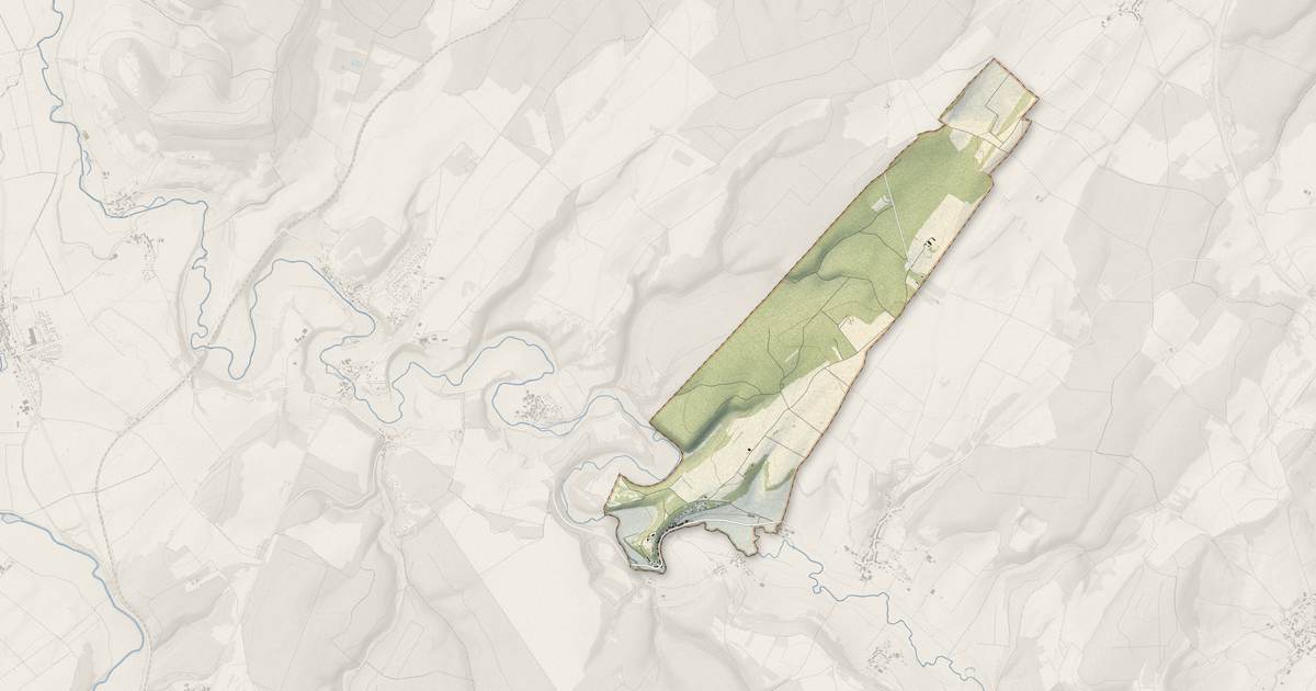 Portrait cartographique de Harchéchamp : relief, eau, forêts, bâti et voies, calculés à partir des données de l'IGN