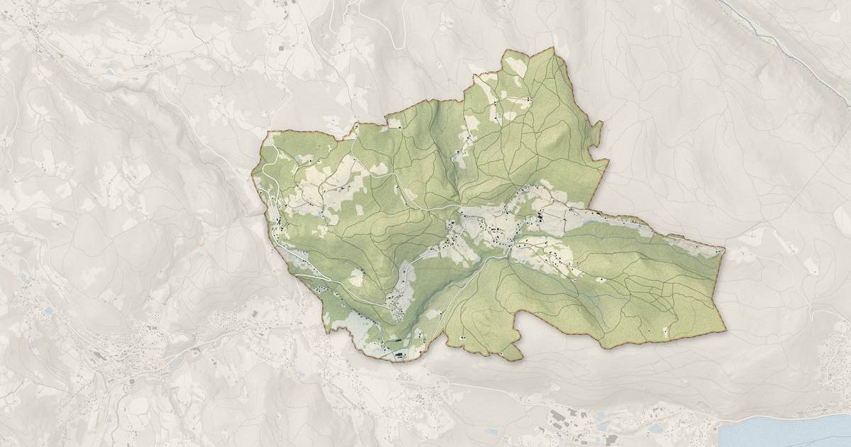 Portrait cartographique de Liézey : relief, eau, forêts, bâti et voies, calculés à partir des données de l'IGN