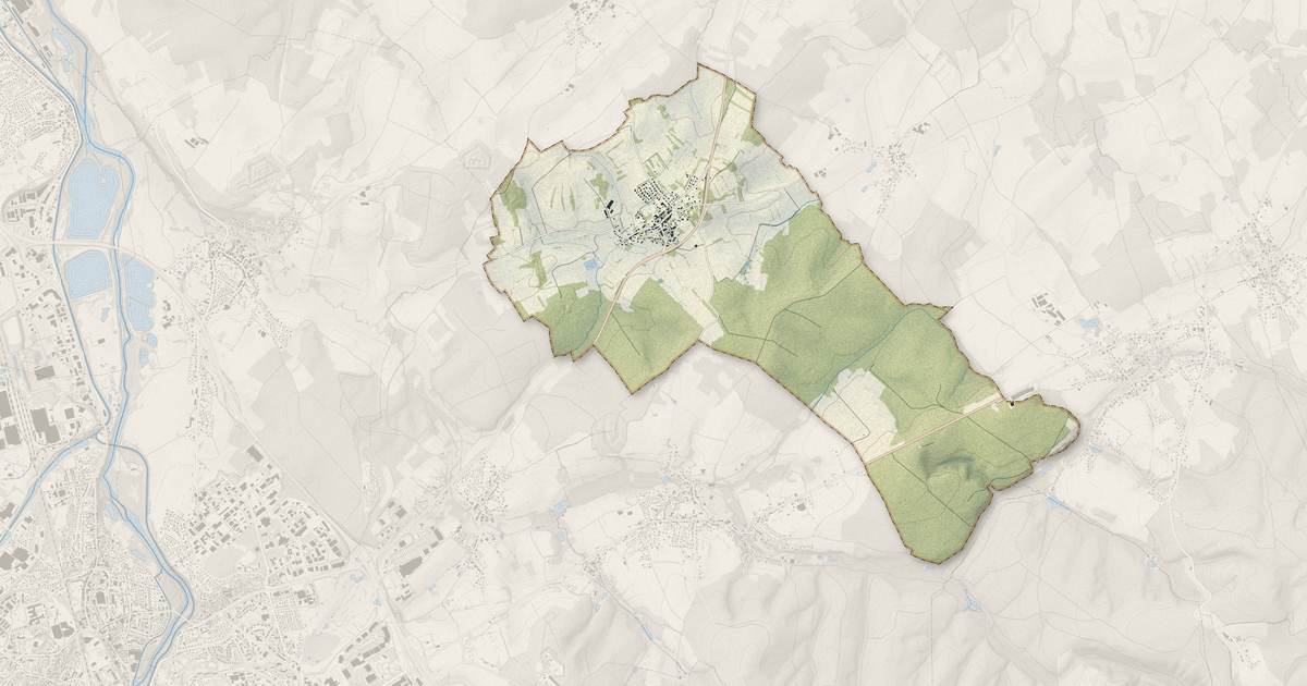 Portrait cartographique de Longchamp : relief, eau, forêts, bâti et voies, calculés à partir des données de l'IGN