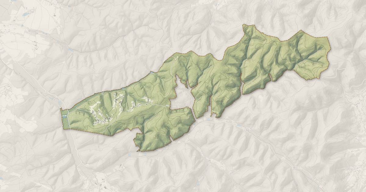 Portrait cartographique de Mortagne : relief, eau, forêts, bâti et voies, calculés à partir des données de l'IGN