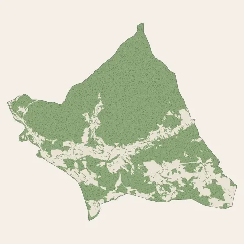 Moyenmoutier : bois, forêts et landes