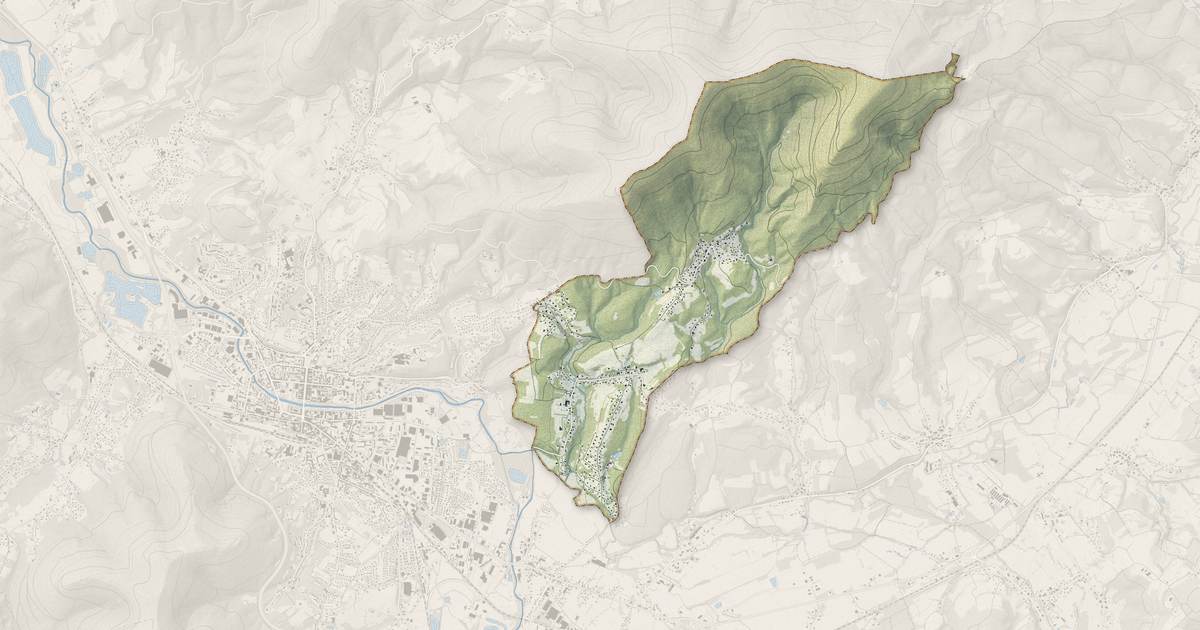 Portrait cartographique de Nayemont-les-Fosses : relief, eau, forêts, bâti et voies, calculés à partir des données de l'IGN