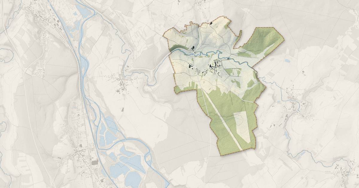 Portrait cartographique de Pallegney : relief, eau, forêts, bâti et voies, calculés à partir des données de l'IGN