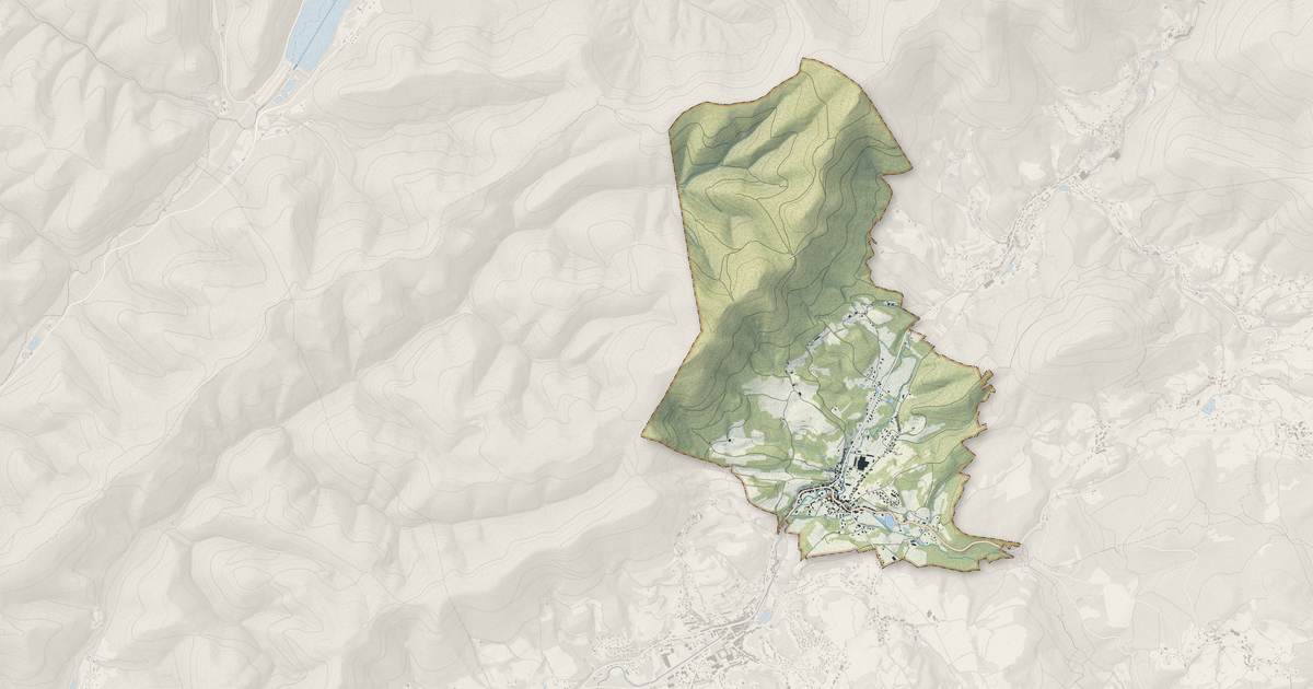 Portrait cartographique de La Petite-Raon : relief, eau, forêts, bâti et voies, calculés à partir des données de l'IGN