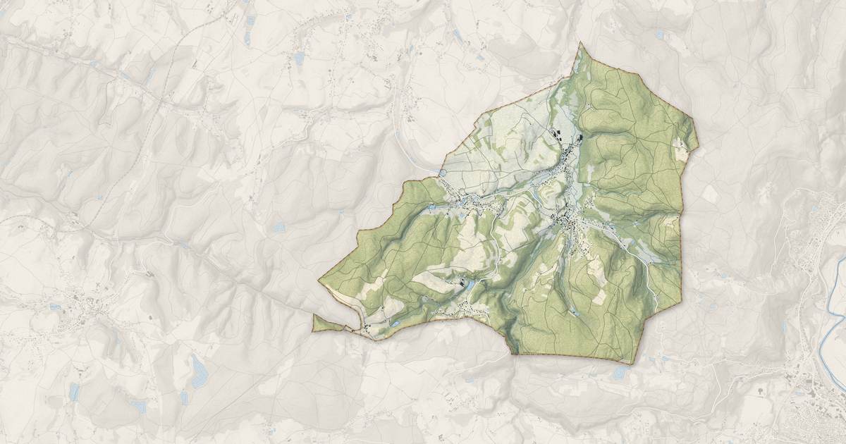 Portrait cartographique de Raon-aux-Bois : relief, eau, forêts, bâti et voies, calculés à partir des données de l'IGN