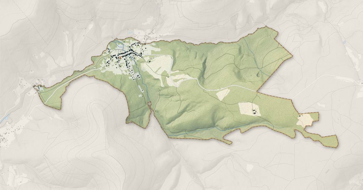 Portrait cartographique de Raon-sur-Plaine : relief, eau, forêts, bâti et voies, calculés à partir des données de l'IGN