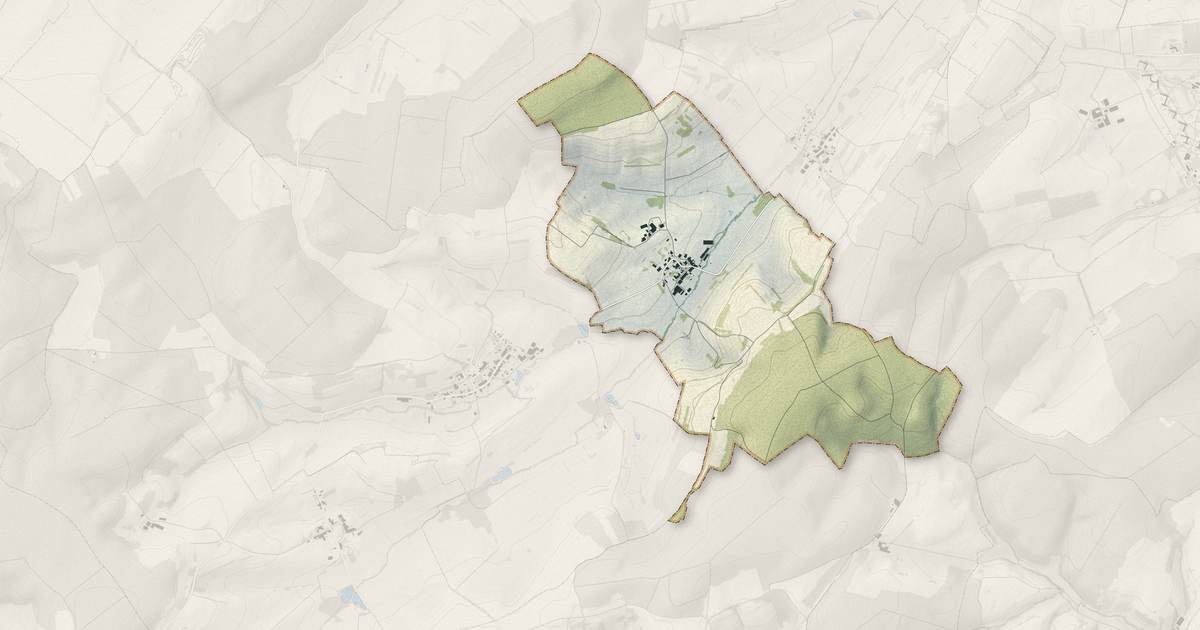 Portrait cartographique de Remicourt : relief, eau, forêts, bâti et voies, calculés à partir des données de l'IGN