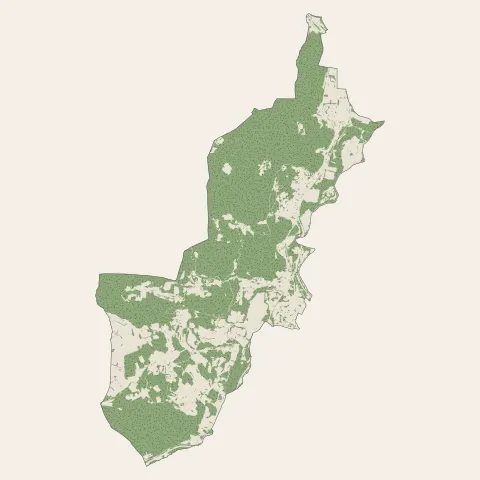 Saint-Nabord : bois, forêts et landes