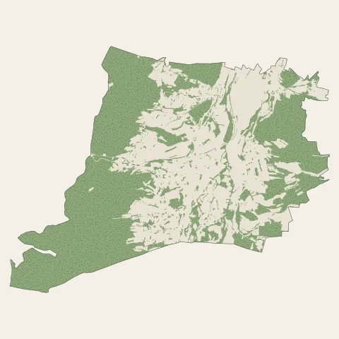 Saulcy-sur-Meurthe : bois, forêts et landes