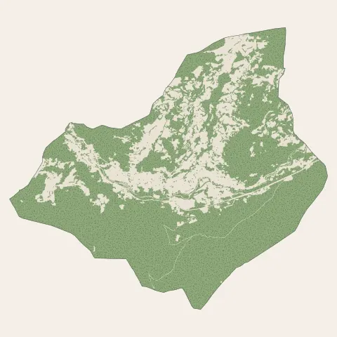 Saulxures-sur-Moselotte : bois, forêts et landes