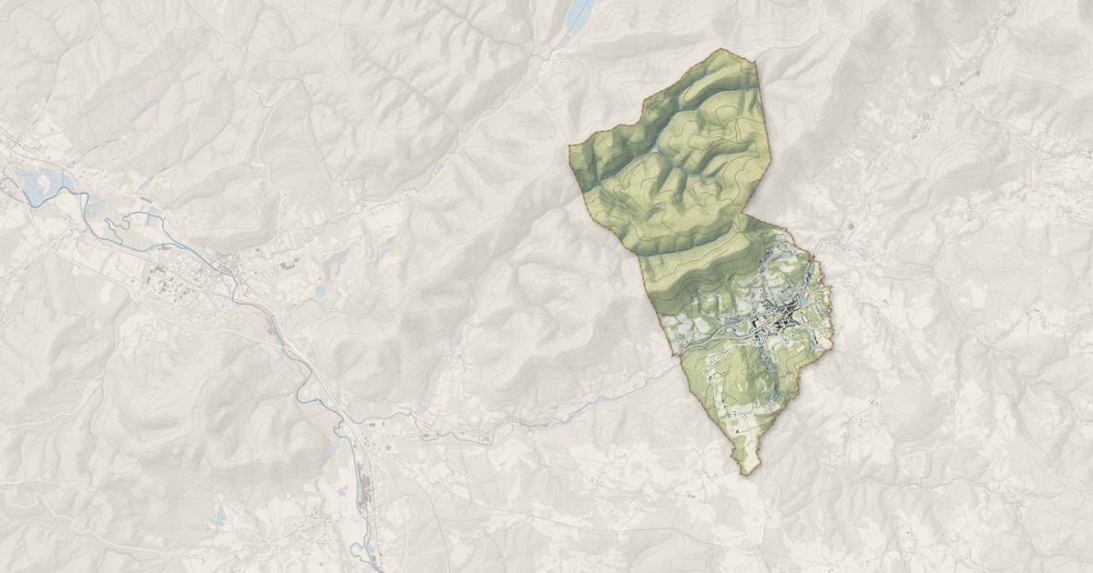 Portrait cartographique de Senones : relief, eau, forêts, bâti et voies, calculés à partir des données de l'IGN