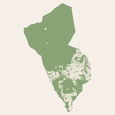 Senones : bois, forêts et landes