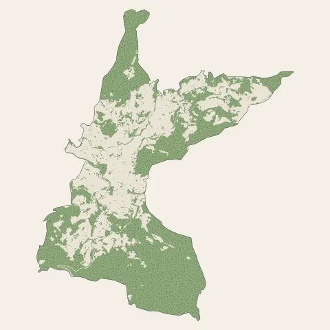 Le Thillot : bois, forêts et landes