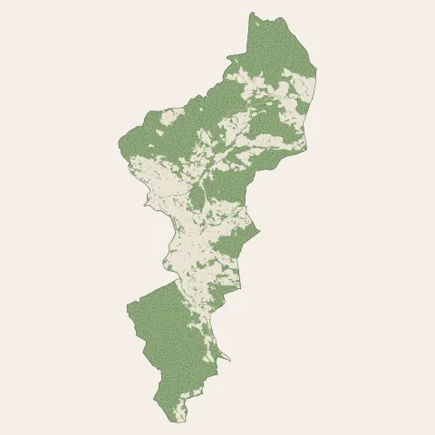 Vagney : bois, forêts et landes