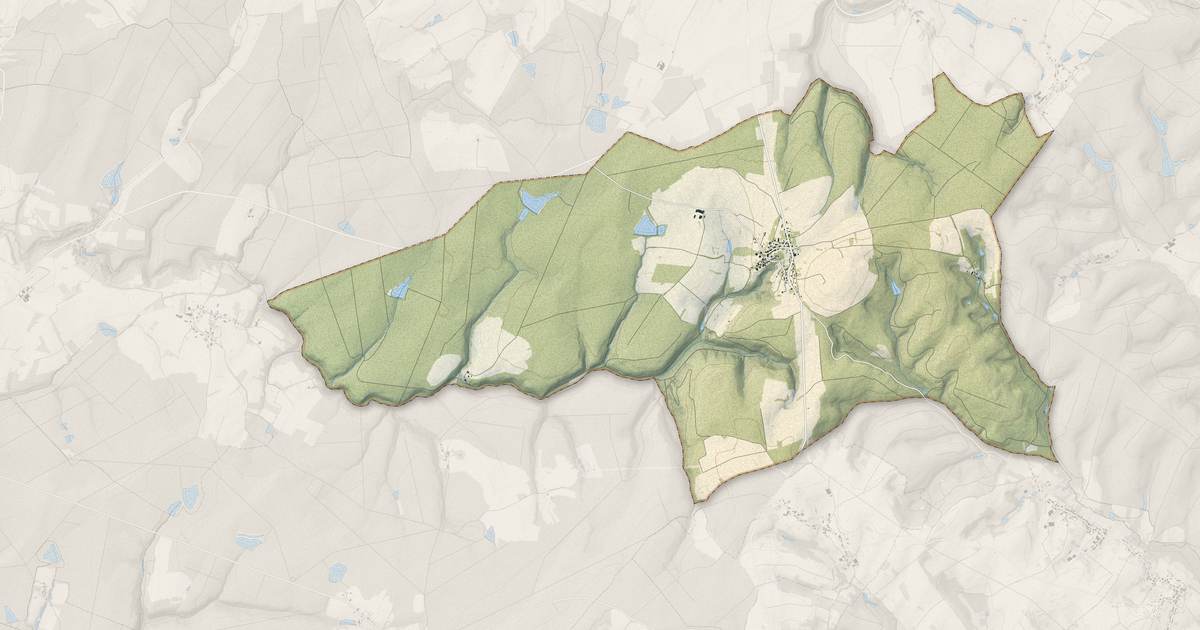 Portrait cartographique de Vioménil : relief, eau, forêts, bâti et voies, calculés à partir des données de l'IGN