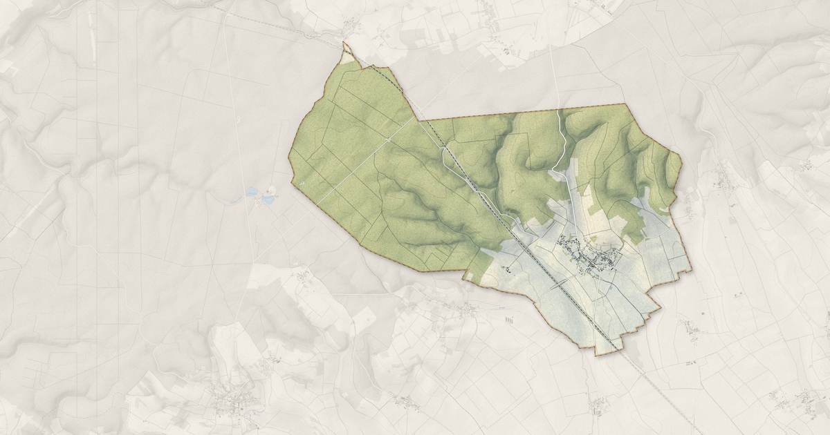 Portrait cartographique de Bellechaume : relief, eau, forêts, bâti et voies, calculés à partir des données de l'IGN