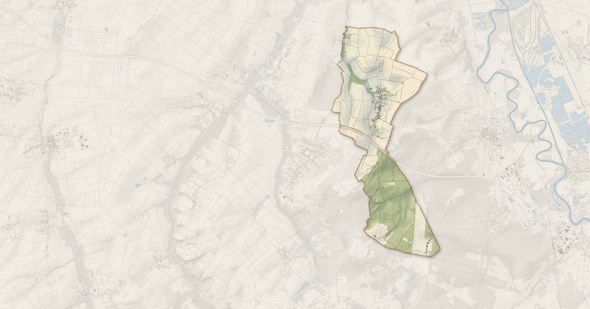 Portrait cartographique de Branches : relief, eau, forêts, bâti et voies, calculés à partir des données de l'IGN