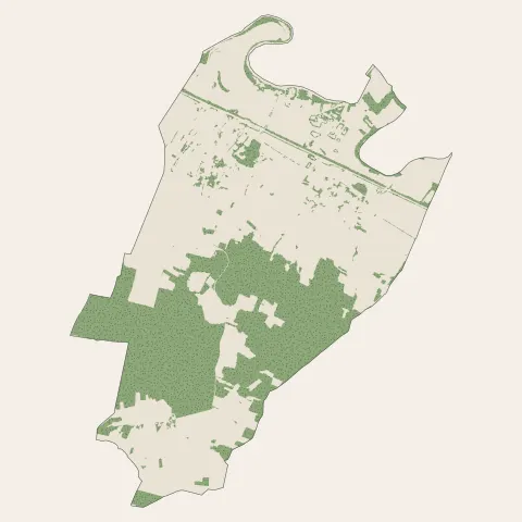 Champigny : bois, forêts et landes