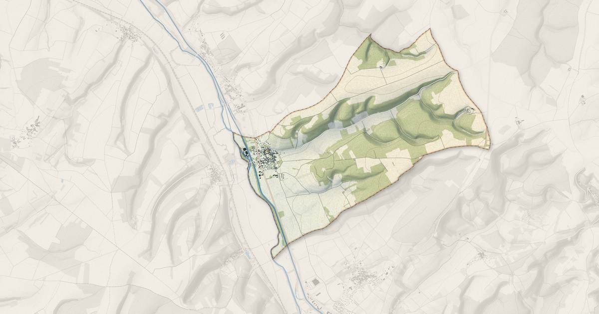 Portrait cartographique de Dannemoine : relief, eau, forêts, bâti et voies, calculés à partir des données de l'IGN