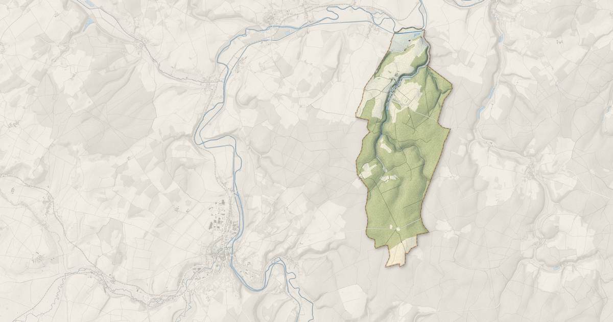 Portrait cartographique de Lichères-sur-Yonne : relief, eau, forêts, bâti et voies, calculés à partir des données de l'IGN