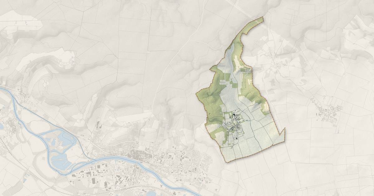 Portrait cartographique de Looze : relief, eau, forêts, bâti et voies, calculés à partir des données de l'IGN