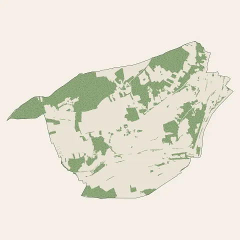 Paron : bois, forêts et landes