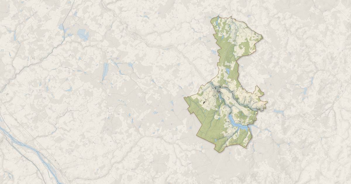 Portrait cartographique de Saint-Fargeau : relief, eau, forêts, bâti et voies, calculés à partir des données de l'IGN