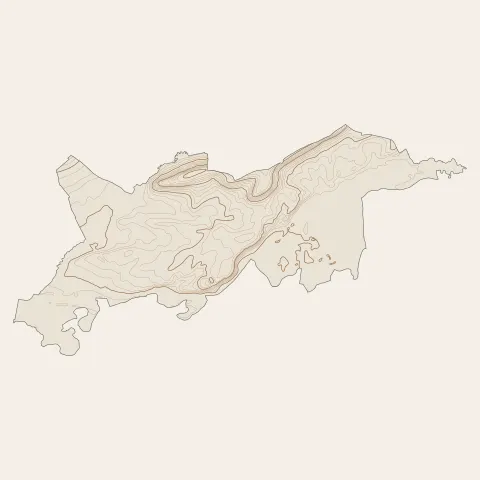 Saint-Florentin : courbes de niveau