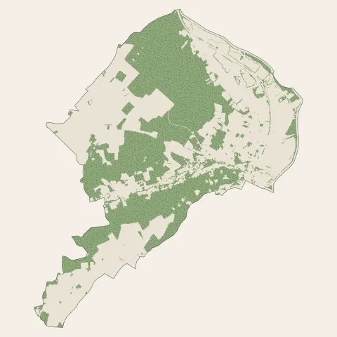 Saint-Julien-du-Sault : bois, forêts et landes