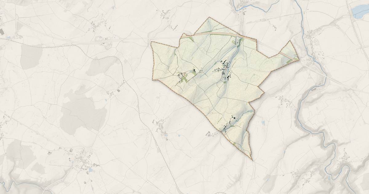 Portrait cartographique de Savigny-en-Terre-Plaine : relief, eau, forêts, bâti et voies, calculés à partir des données de l'IGN