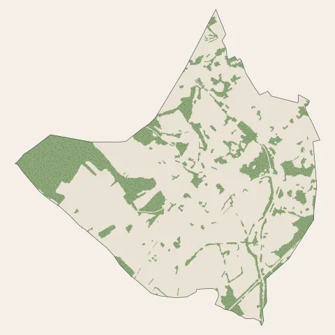 Bavilliers : bois, forêts et landes