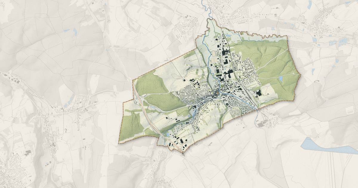 Portrait cartographique de Delle : relief, eau, forêts, bâti et voies, calculés à partir des données de l'IGN