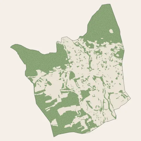 Giromagny : bois, forêts et landes
